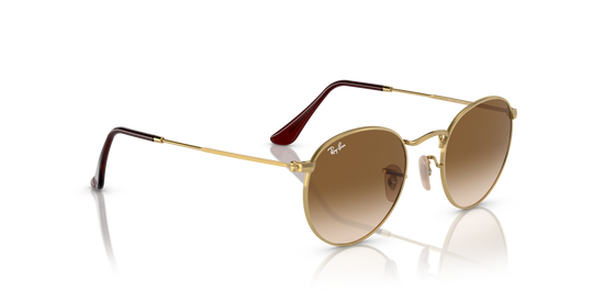 Ray-Ban 3447 001/51 50 Ekartman Unisex Güneş Gözlüğü - 4