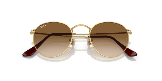 Ray-Ban 3447 001/51 50 Ekartman Unisex Güneş Gözlüğü - 6