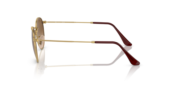 Ray-Ban 3447 001/51 53 Ekartman Unisex Güneş Gözlüğü - 2