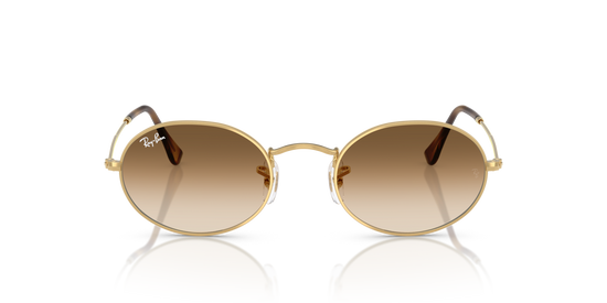 Ray-Ban 3547 001/51 51 Ekartman Unisex Güneş Gözlüğü - 5