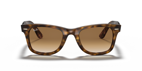 Ray-Ban 4340 710/51 50 Ekartman Unisex Güneş Gözlüğü - 5