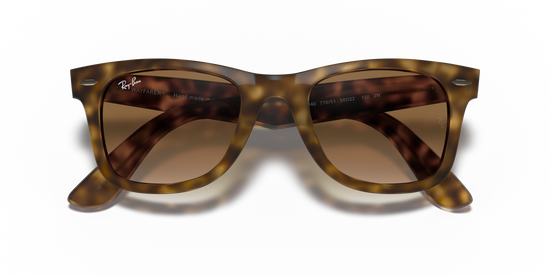Ray-Ban 4340 710/51 50 Ekartman Unisex Güneş Gözlüğü - 6