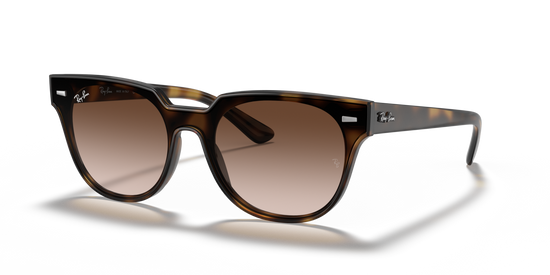 Ray-Ban 4368N 710/13 39 Ekartman Unisex Güneş Gözlüğü - 1