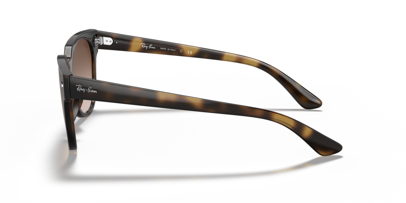 Ray-Ban 4368N 710/13 39 Ekartman Unisex Güneş Gözlüğü - 2