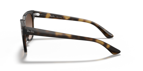 Ray-Ban 4368N 710/13 39 Ekartman Unisex Güneş Gözlüğü - 2