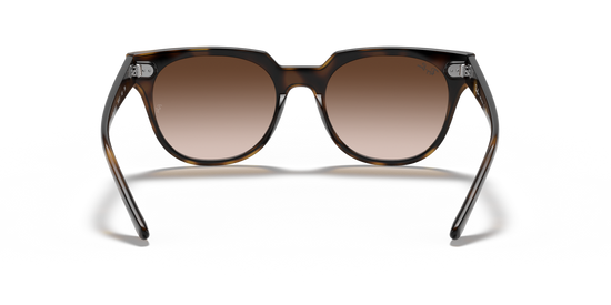 Ray-Ban 4368N 710/13 39 Ekartman Unisex Güneş Gözlüğü - 3