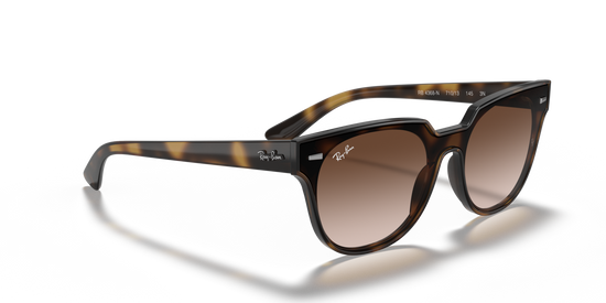 Ray-Ban 4368N 710/13 39 Ekartman Unisex Güneş Gözlüğü - 4
