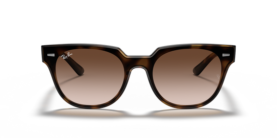 Ray-Ban 4368N 710/13 39 Ekartman Unisex Güneş Gözlüğü - 5