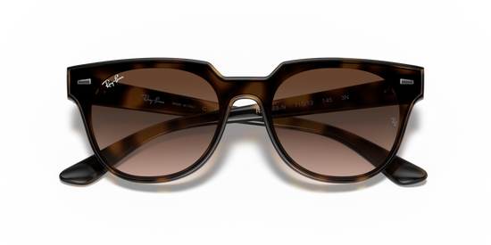 Ray-Ban 4368N 710/13 39 Ekartman Unisex Güneş Gözlüğü - 6