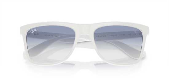 Ray-Ban 4413M F69219 57 Ekartman Unisex Güneş Gözlüğü - 6