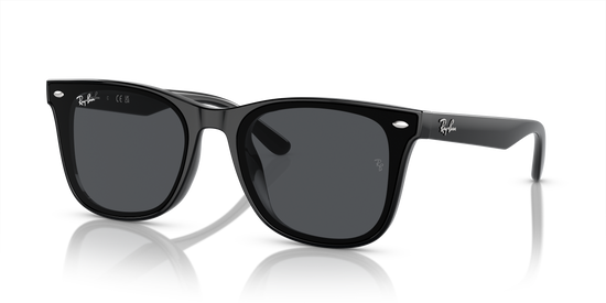 Ray-Ban 4420 601/87 65 Ekartman Unisex Güneş Gözlüğü - 1