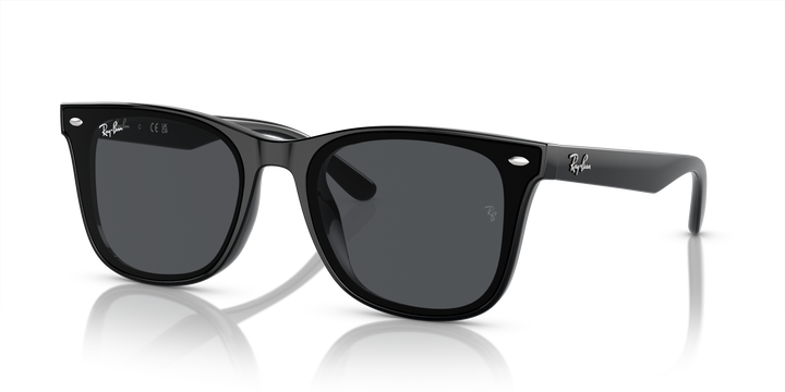 Ray-Ban 4420 601/87 65 Ekartman Unisex Güneş Gözlüğü - 1