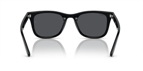 Ray-Ban 4420 601/87 65 Ekartman Unisex Güneş Gözlüğü - 3