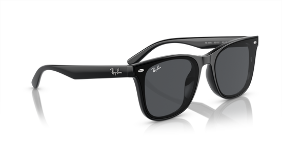 Ray-Ban 4420 601/87 65 Ekartman Unisex Güneş Gözlüğü - 4