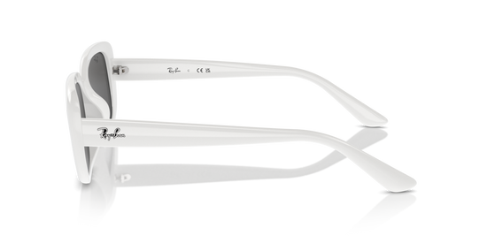 Ray-Ban 4421D 677287 56 Ekartman Unisex Güneş Gözlüğü - 2