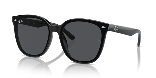 Ray-Ban 4423D 601/87 66 Ekartman Unisex Güneş Gözlüğü - 1