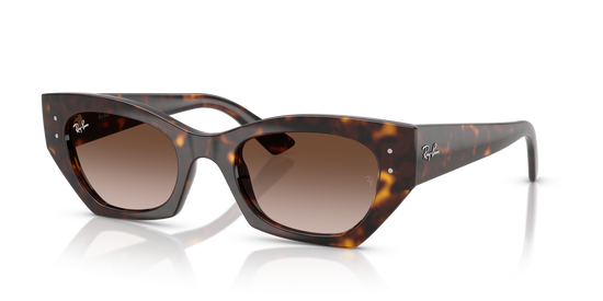 Ray-Ban 4430 135913 52 Ekartman Unisex Güneş Gözlüğü - 1