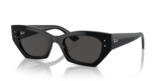 Ray-Ban 4430 667787 52 Ekartman Unisex Güneş Gözlüğü - 1