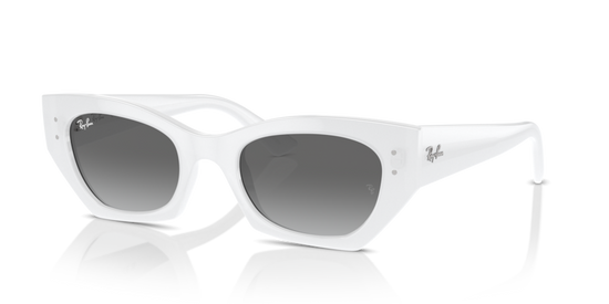 Ray-Ban 4430 675911 49 Ekartman Unisex Güneş Gözlüğü - 1