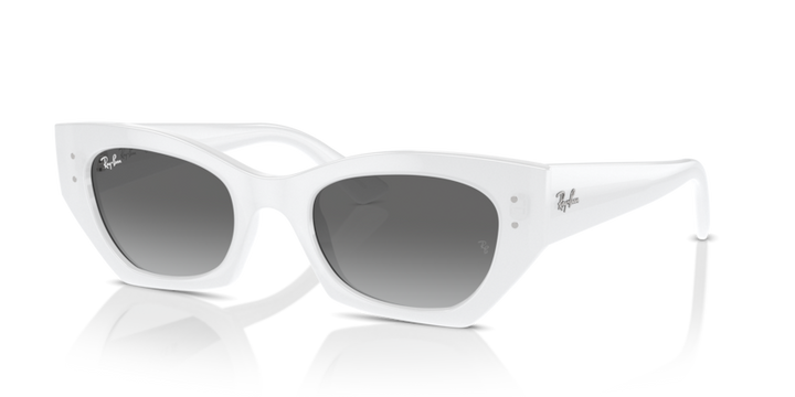 Ray-Ban 4430 675911 49 Ekartman Unisex Güneş Gözlüğü - 1