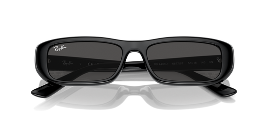 Ray-Ban 4436D 667787 55 Ekartman Unisex Güneş Gözlüğü - 6