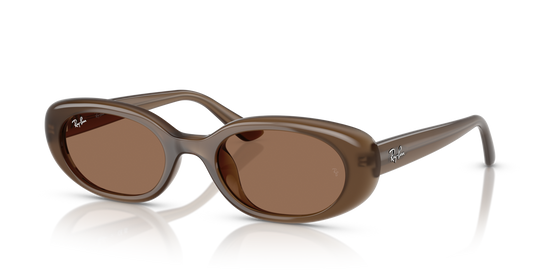 Ray-Ban 4441D 677973 53 Ekartman Unisex Güneş Gözlüğü - 1