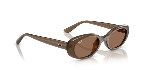 Ray-Ban 4441D 677973 53 Ekartman Unisex Güneş Gözlüğü - 4