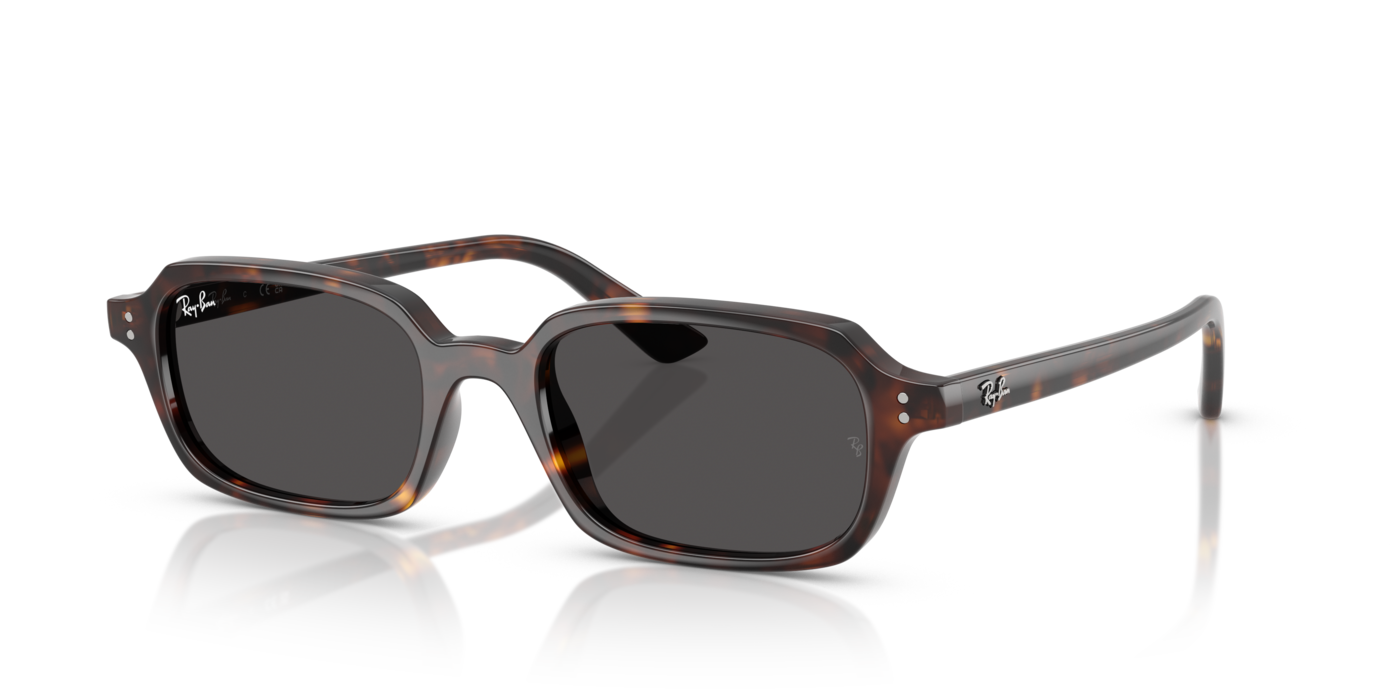 Ray-Ban 4455 135987 49 Ekartman Unisex Güneş Gözlüğü - 1