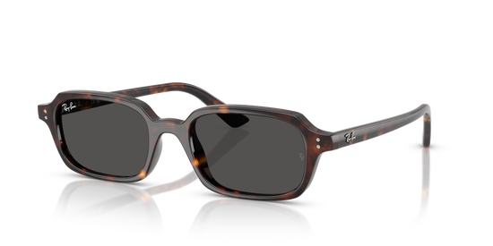 Ray-Ban 4455 135987 49 Ekartman Unisex Güneş Gözlüğü - 1