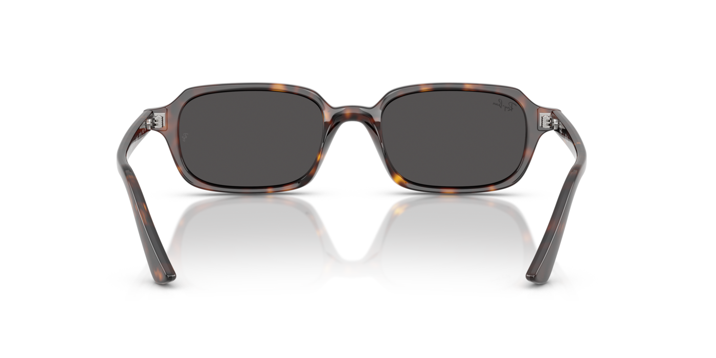 Ray-Ban 4455 135987 49 Ekartman Unisex Güneş Gözlüğü - 3