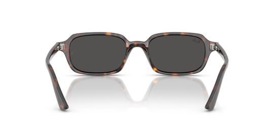Ray-Ban 4455 135987 49 Ekartman Unisex Güneş Gözlüğü - 3
