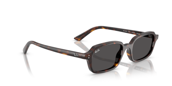 Ray-Ban 4455 135987 49 Ekartman Unisex Güneş Gözlüğü - 4