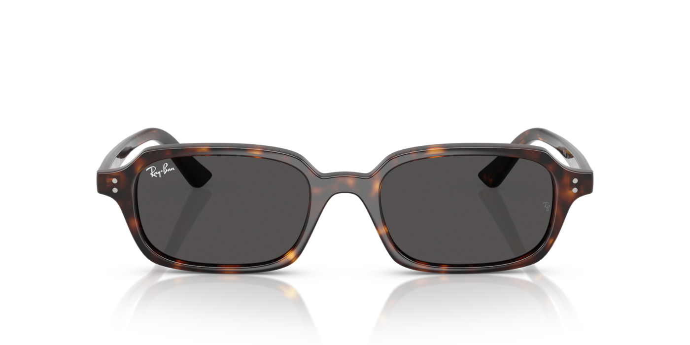 Ray-Ban 4455 135987 49 Ekartman Unisex Güneş Gözlüğü - 5