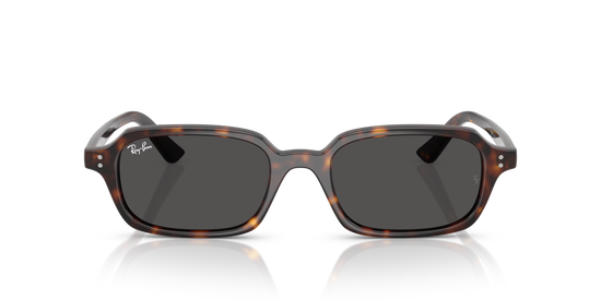 Ray-Ban 4455 135987 49 Ekartman Unisex Güneş Gözlüğü - 5