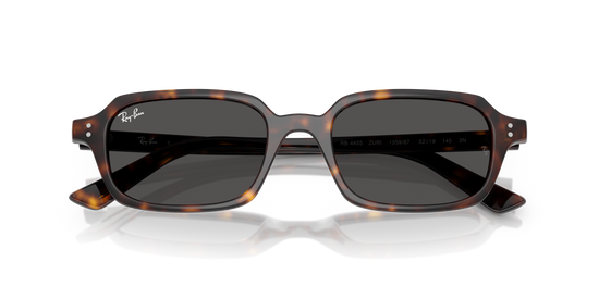 Ray-Ban 4455 135987 49 Ekartman Unisex Güneş Gözlüğü - 6