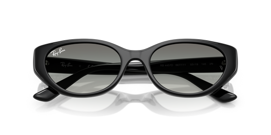 Ray-Ban 4457D 667711 55 Ekartman Unisex Güneş Gözlüğü - 6