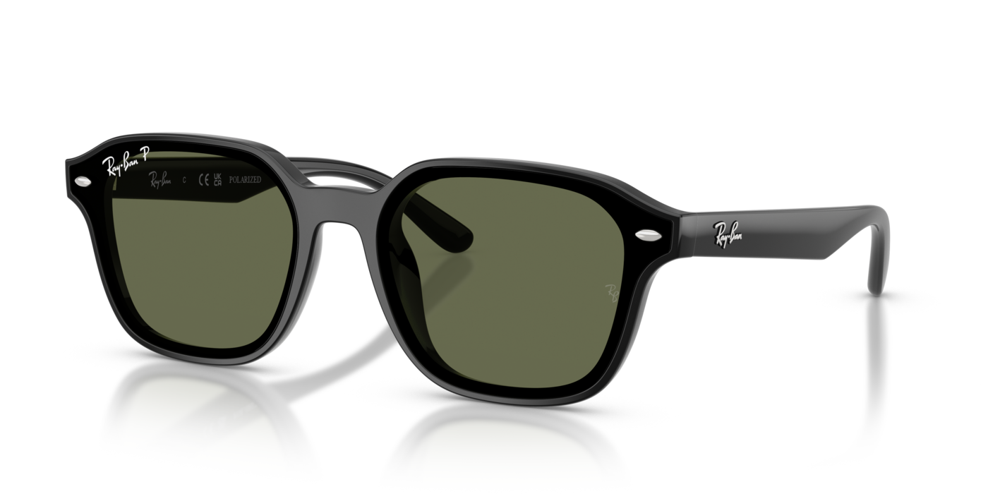 Ray-Ban 4458D 601/9A 65 Ekartman Unisex Güneş Gözlüğü - 1