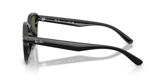 Ray-Ban 4458D 601/9A 65 Ekartman Unisex Güneş Gözlüğü - 2