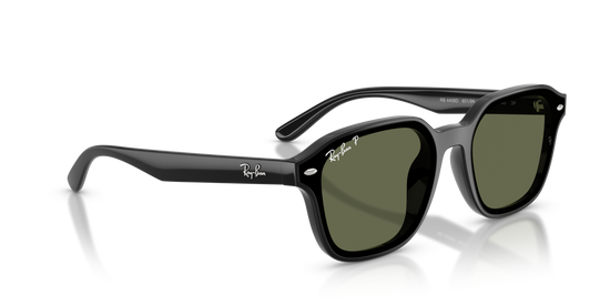 Ray-Ban 4458D 601/9A 65 Ekartman Unisex Güneş Gözlüğü - 4