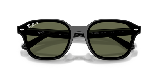 Ray-Ban 4458D 601/9A 65 Ekartman Unisex Güneş Gözlüğü - 6