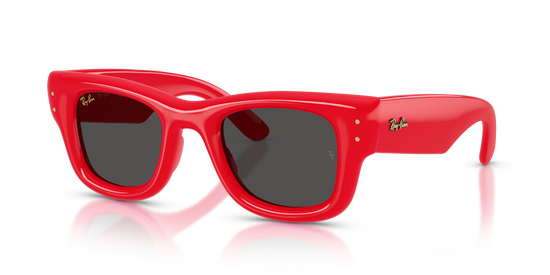 Ray-Ban 4940 683187 47 Ekartman Unisex Güneş Gözlüğü - 1