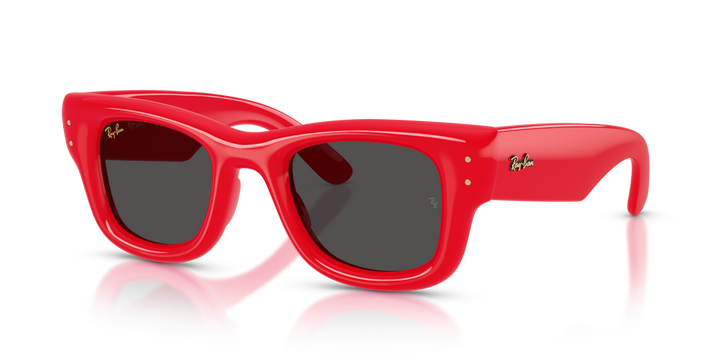 Ray-Ban 4940 683187 47 Ekartman Unisex Güneş Gözlüğü - 1