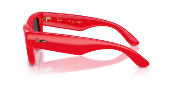 Ray-Ban 4940 683187 47 Ekartman Unisex Güneş Gözlüğü - 2