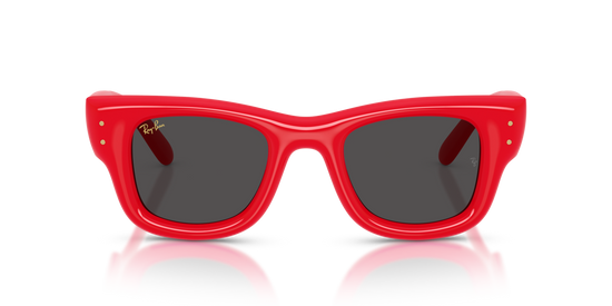 Ray-Ban 4940 683187 47 Ekartman Unisex Güneş Gözlüğü - 5