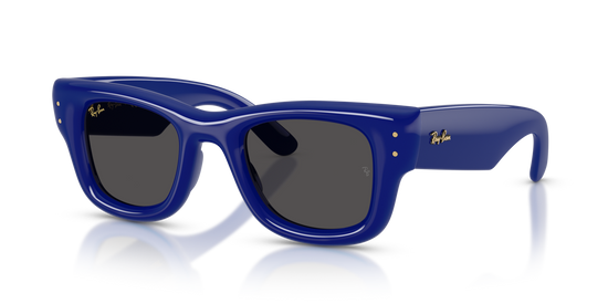 Ray-Ban 4940 683387 50 Ekartman Unisex Güneş Gözlüğü - 1