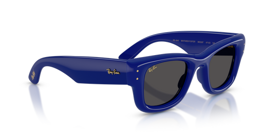 Ray-Ban 4940 683387 50 Ekartman Unisex Güneş Gözlüğü - 4