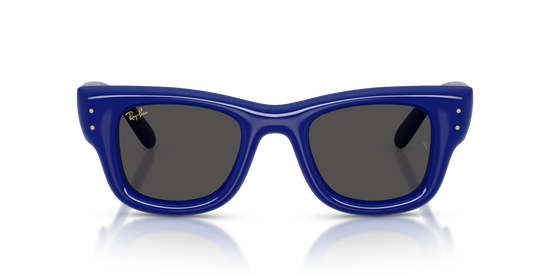 Ray-Ban 4940 683387 50 Ekartman Unisex Güneş Gözlüğü - 5