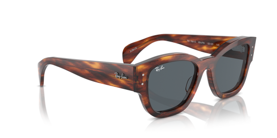 Ray-Ban 7681S 954/R5 52 Ekartman Unisex Güneş Gözlüğü - 4