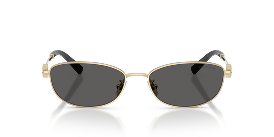 Tiffany & Co. 3115 6021S4 56 Ekartman Unisex Güneş Gözlüğü - 4