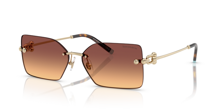 Tiffany & Co. 3088 618978 59 Ekartman Unisex Güneş Gözlüğü - 1